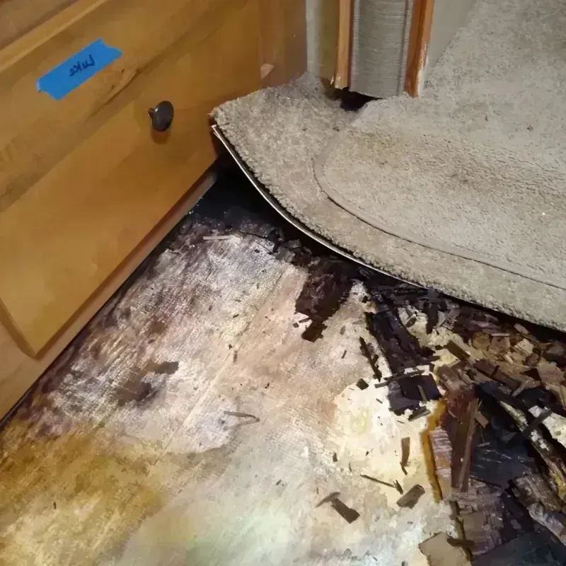 Best Wood Floor Water Damage Service in Cassopolis, MI